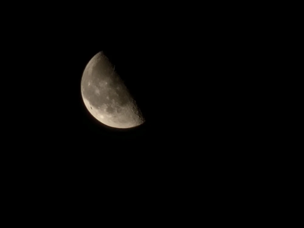 cover photo of Pablo_2210