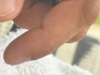JungunMann1832 live cam profile - MySuperHot