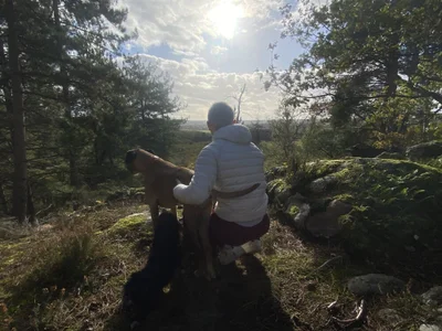 French_Dream profile