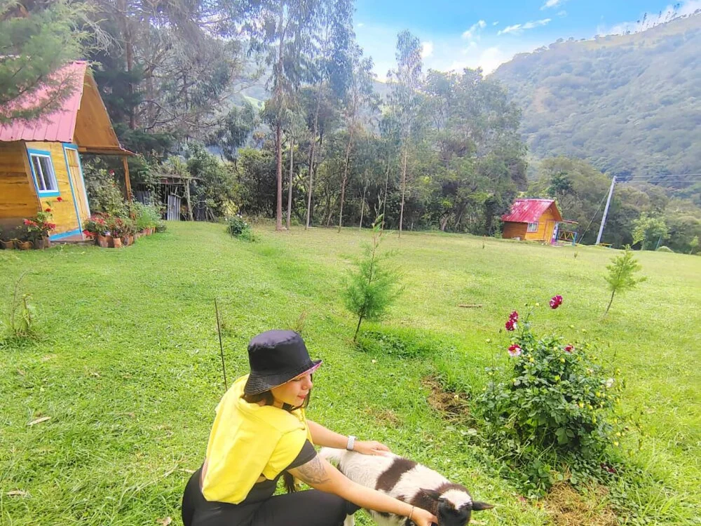 Chatroom XXX hors ligne de Assley_Taffy