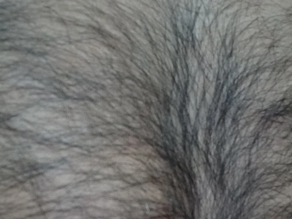 MoonlessSurgery Chat XXX Ngoại tuyến