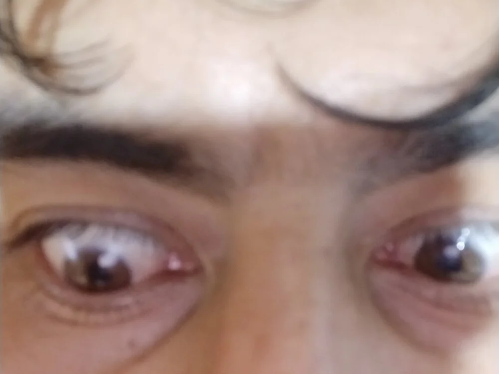 Asno2025asno Chat XXX offline