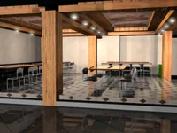 raynstars's webcam live show