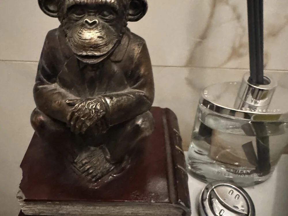 Bchdz offline XXX-chatje