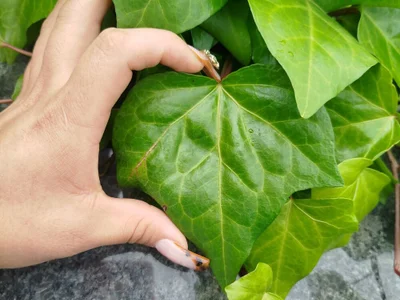 sammilove_sw profile