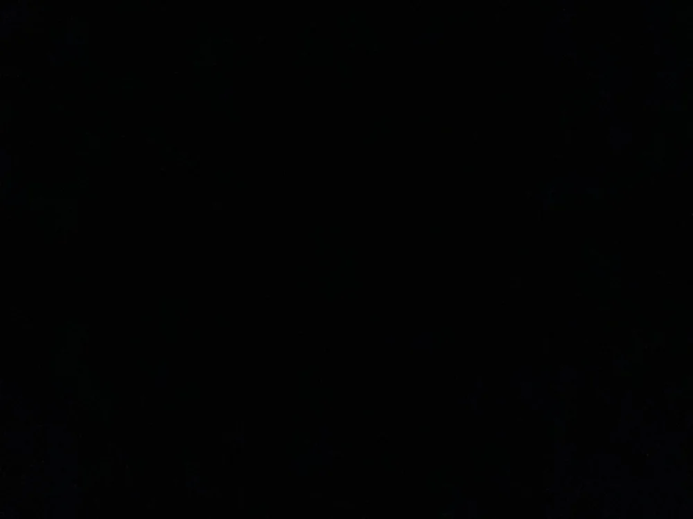 bonnieprs offline chatrum
