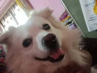 lustylove2