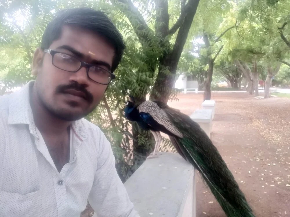 mrsocket Chat XXX offline