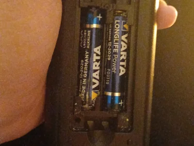 GlaucousSnag Live Cam