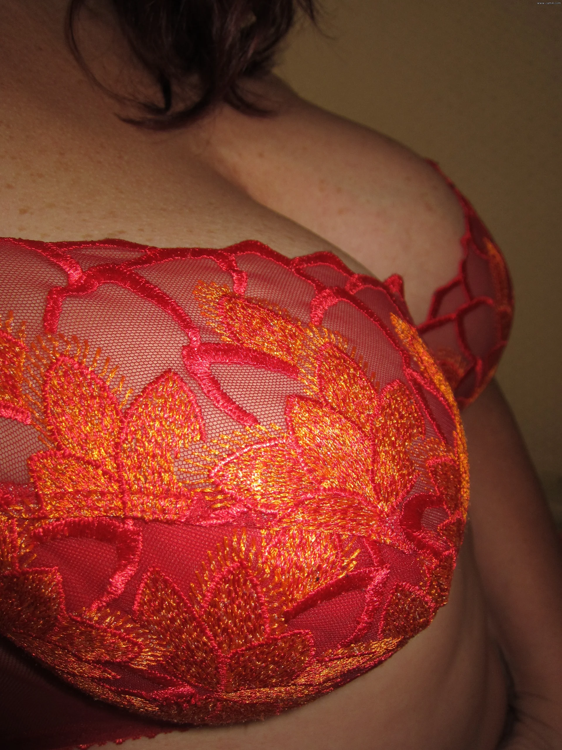 XXX Porn Photo of Nude RelievedPapillon 5