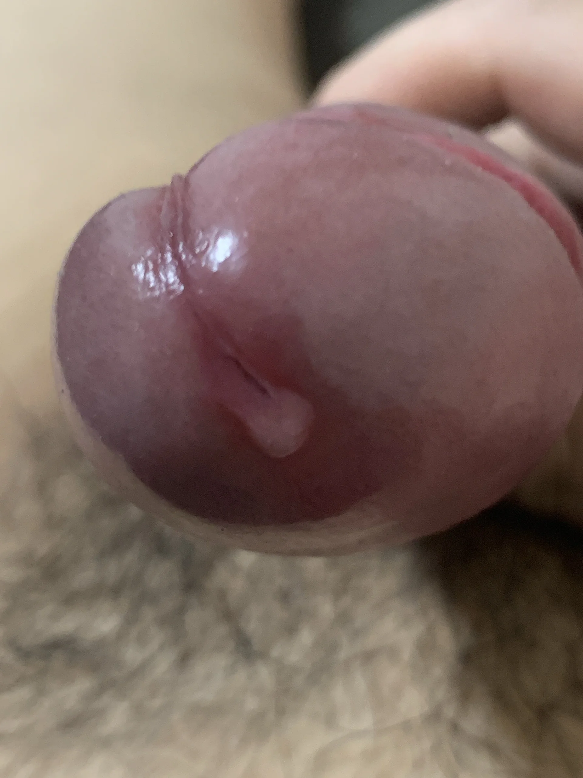 XXX Porn Photo of Nude Seita4545 10
