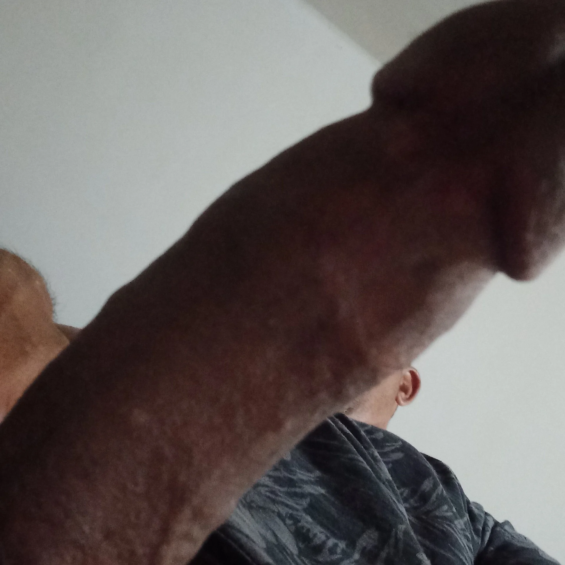 XXX Porn Photo of Nude xxxpulsar220 6
