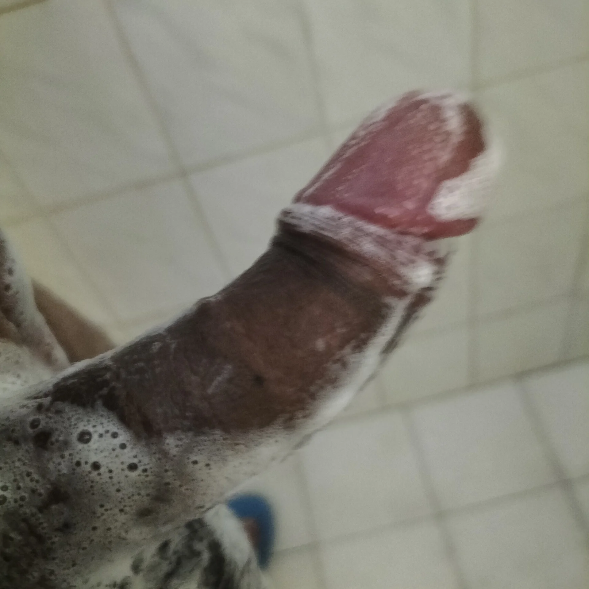 XXX Porn Photo of Nude VERGA1MORENA 5