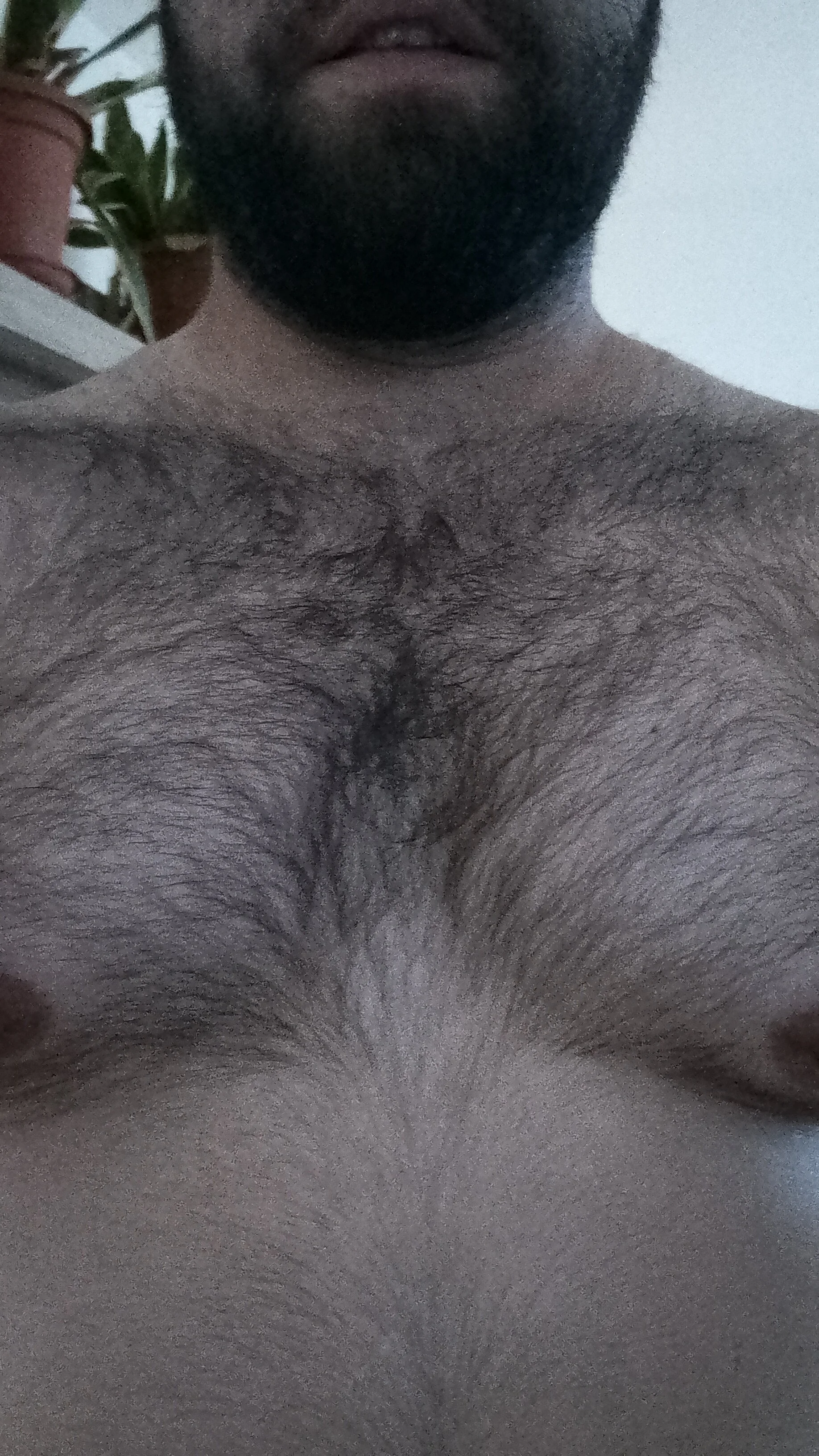 XXX Porn Photo of Nude PerverzanMomak 1