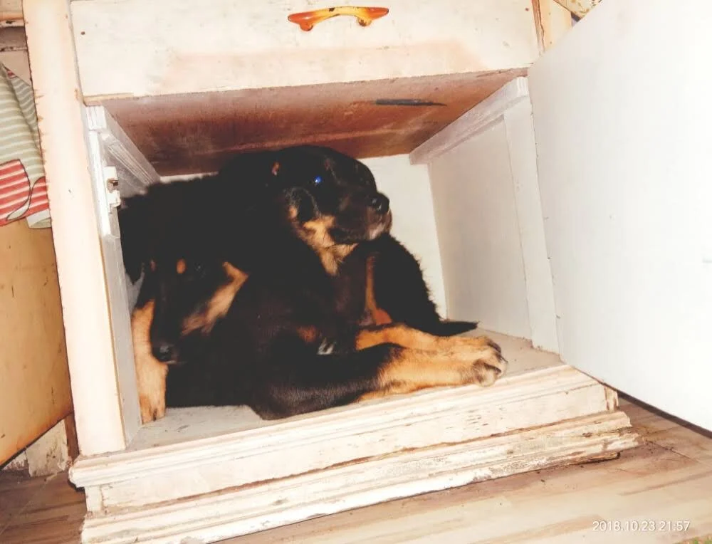 XXX Porn Photo of Nude DADDY-SIN 28