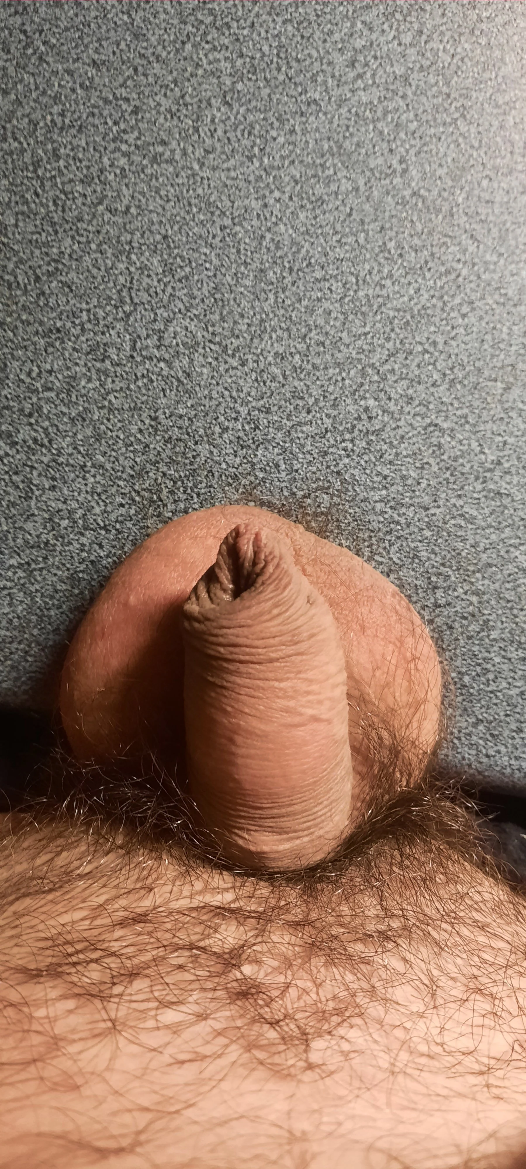 XXX Porn Photo of Nude Basicock 1