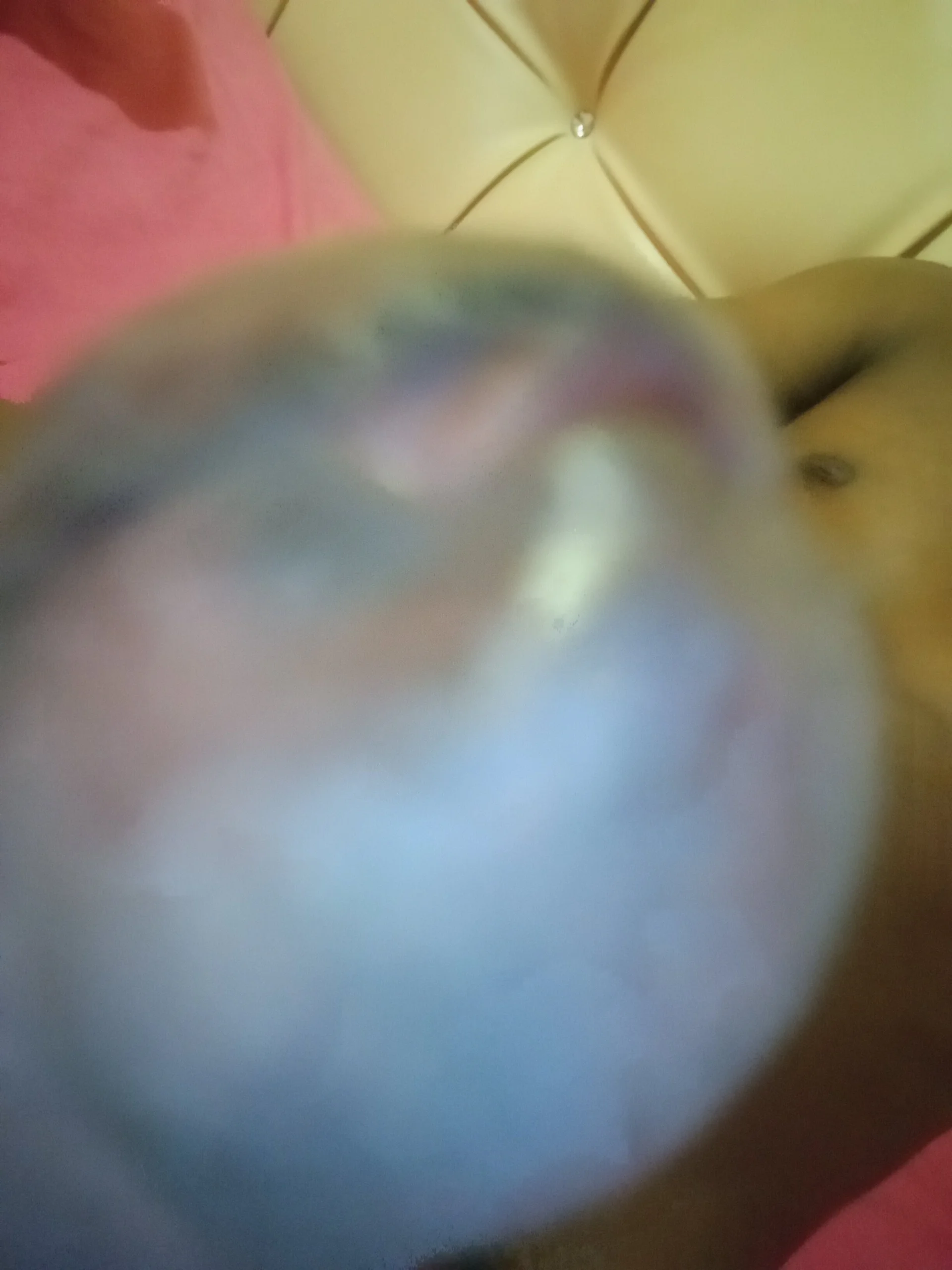 XXX Porn Photo of Nude Slendaboy01 3
