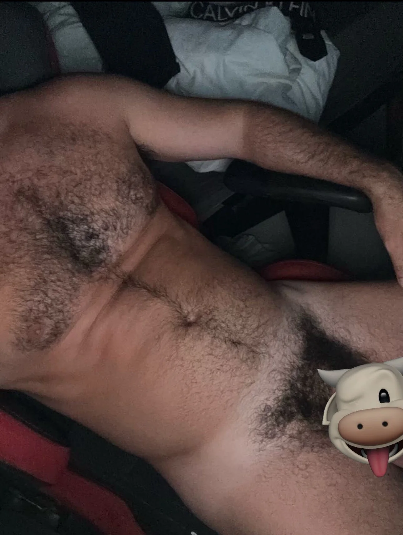 XXX Porn Photo of Nude european_cowbow 5