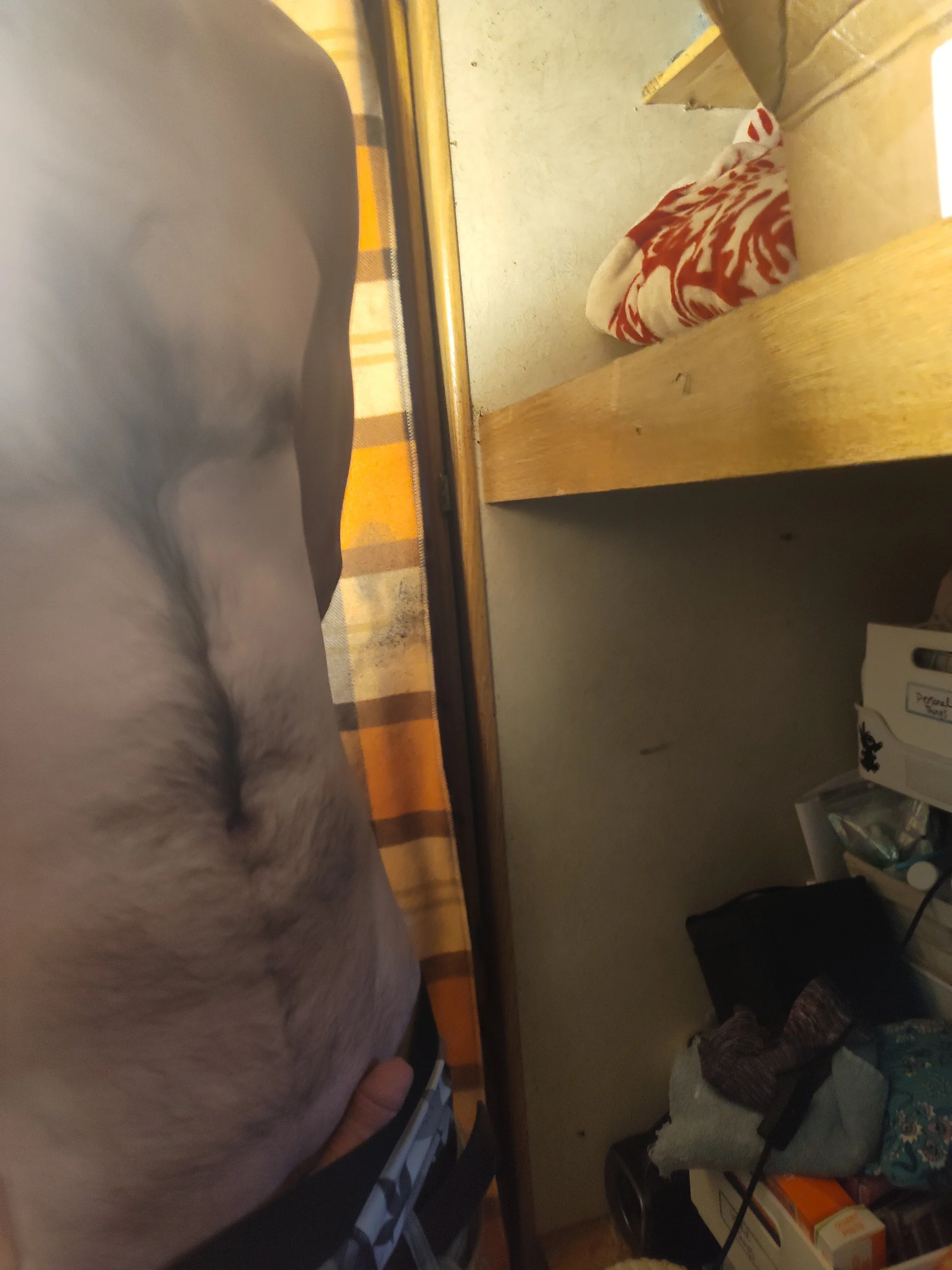 XXX Porn Photo of Nude ford199169 4