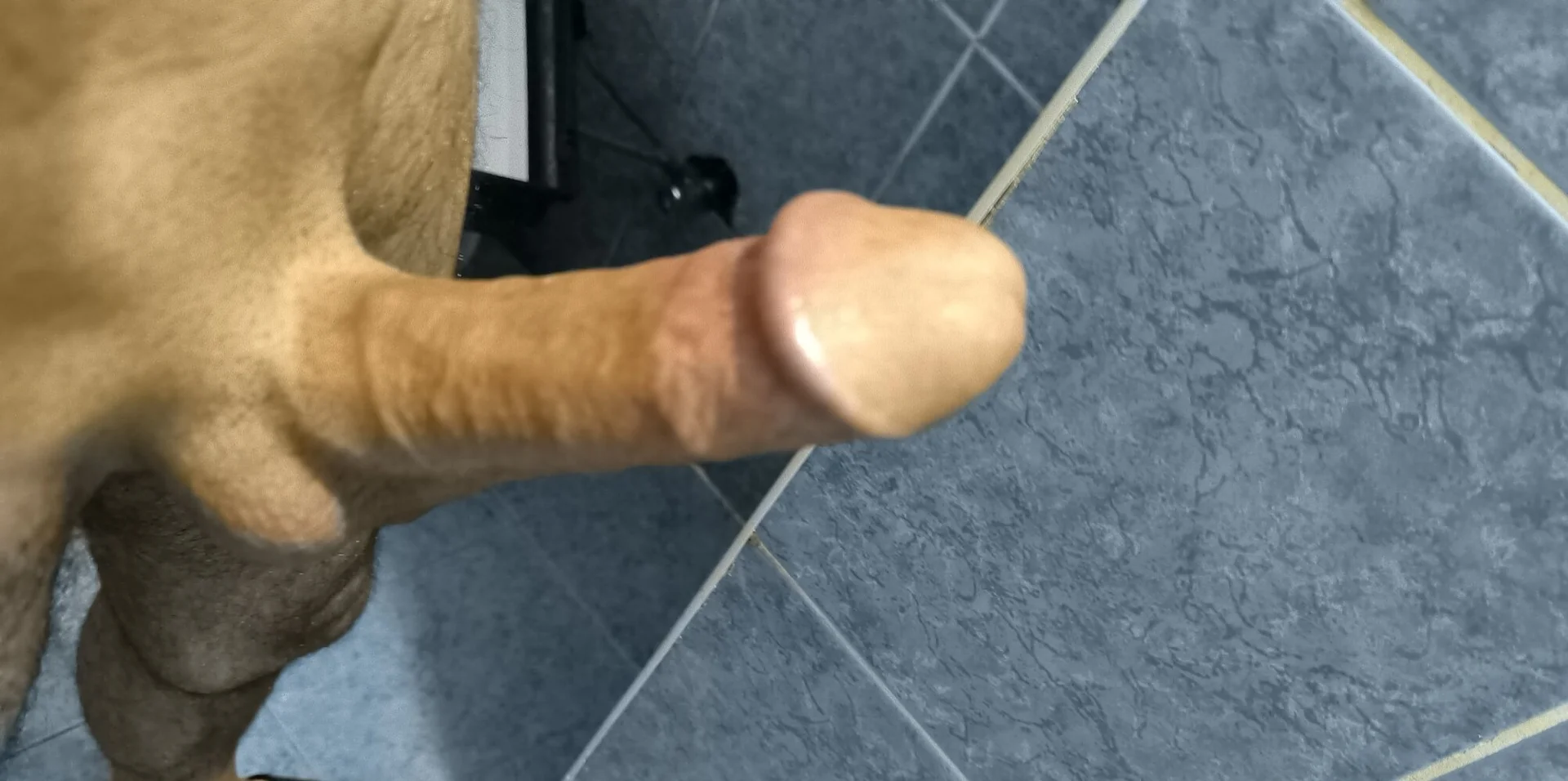 XXX Porn Photo of Nude Alimohamed08 3