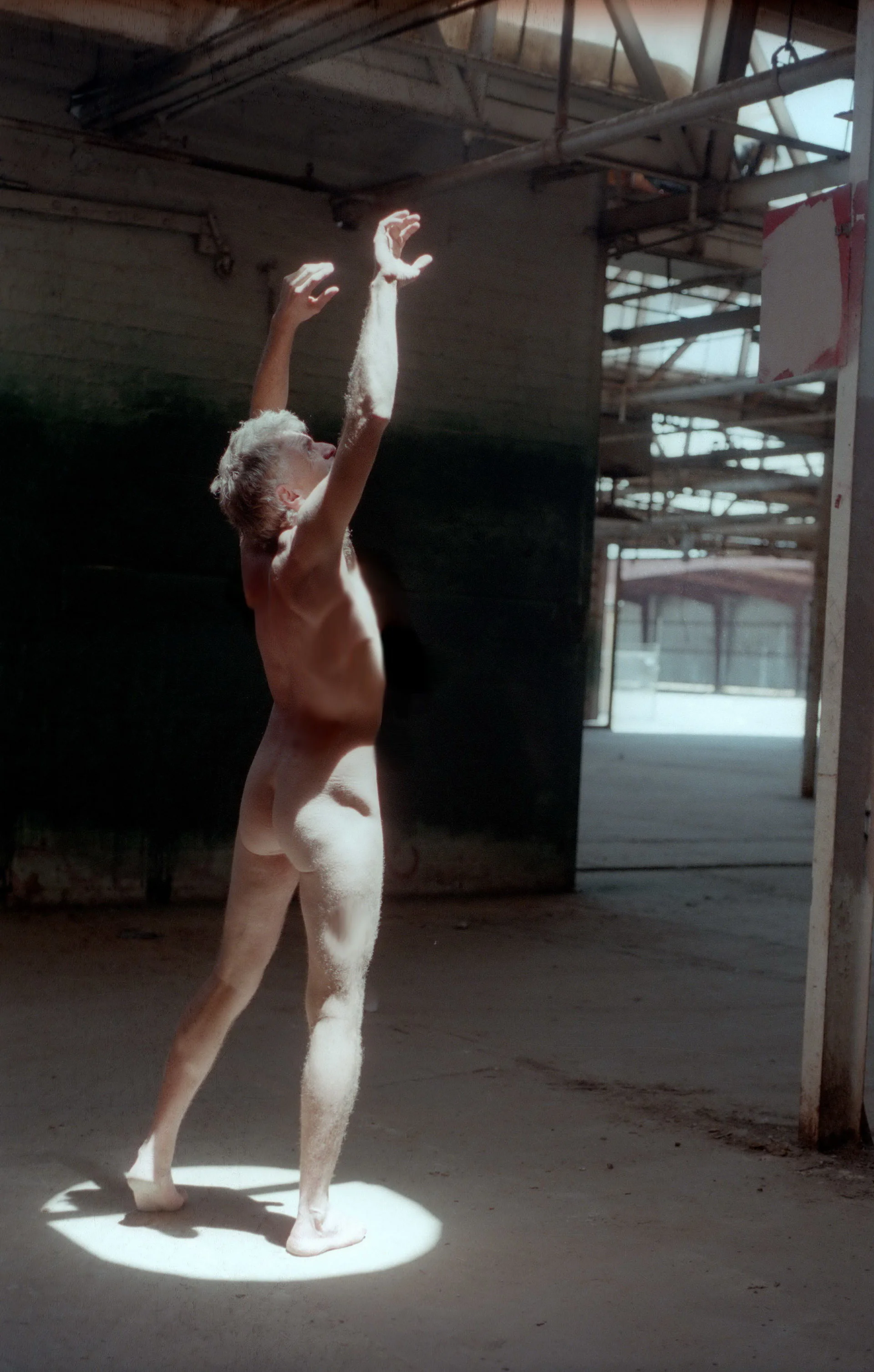 dog-naked