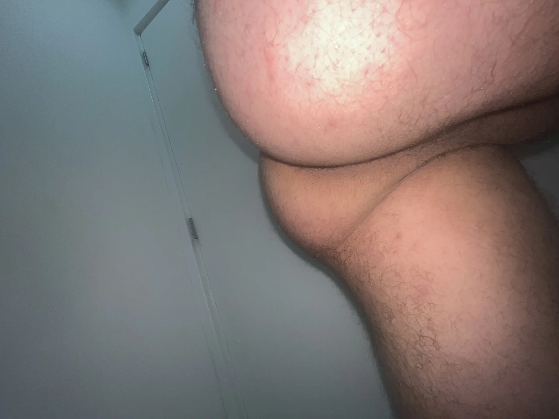 alej2x4