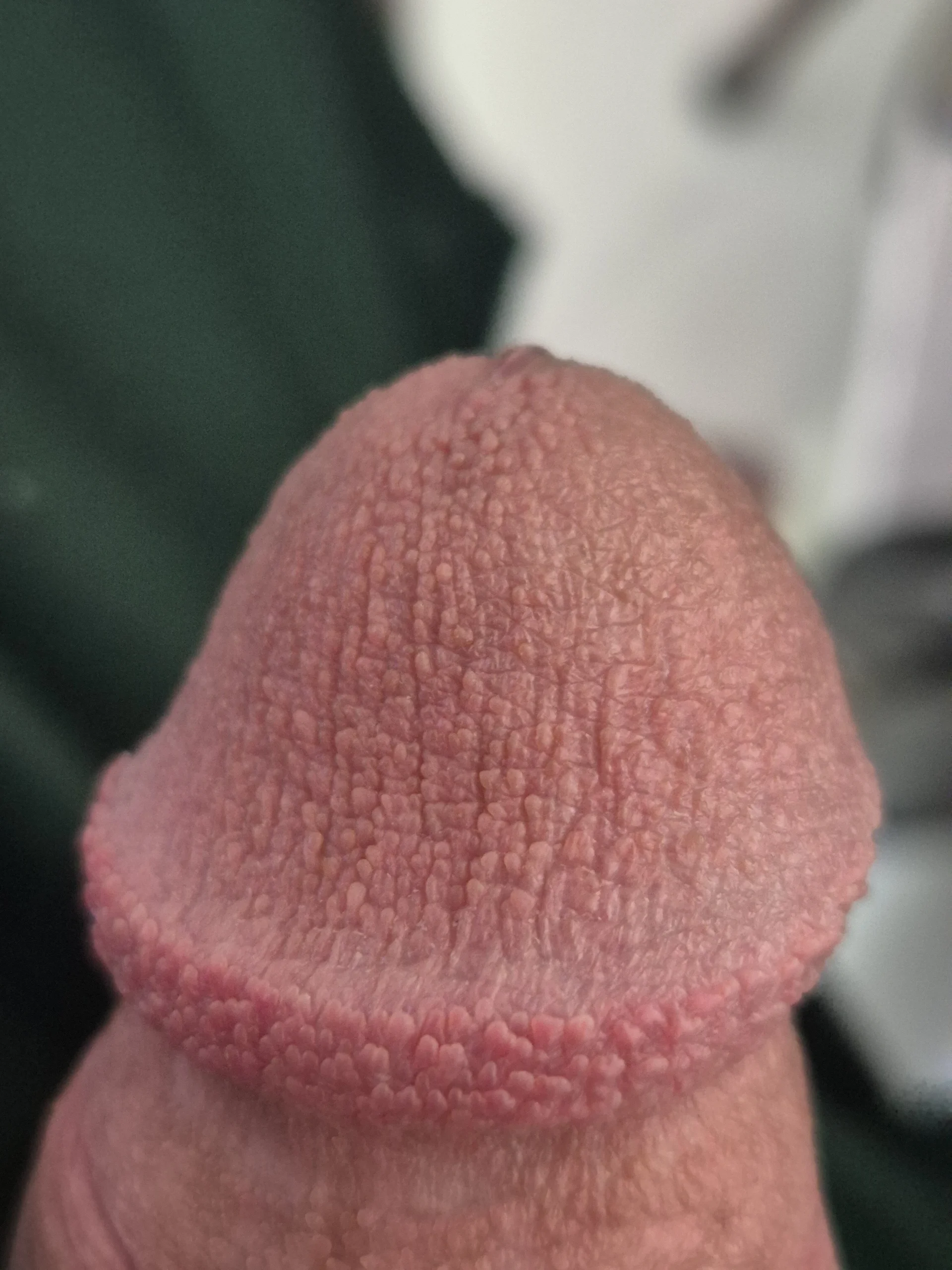 XXX Porn Photo of Nude CumcontrolWithMe 4