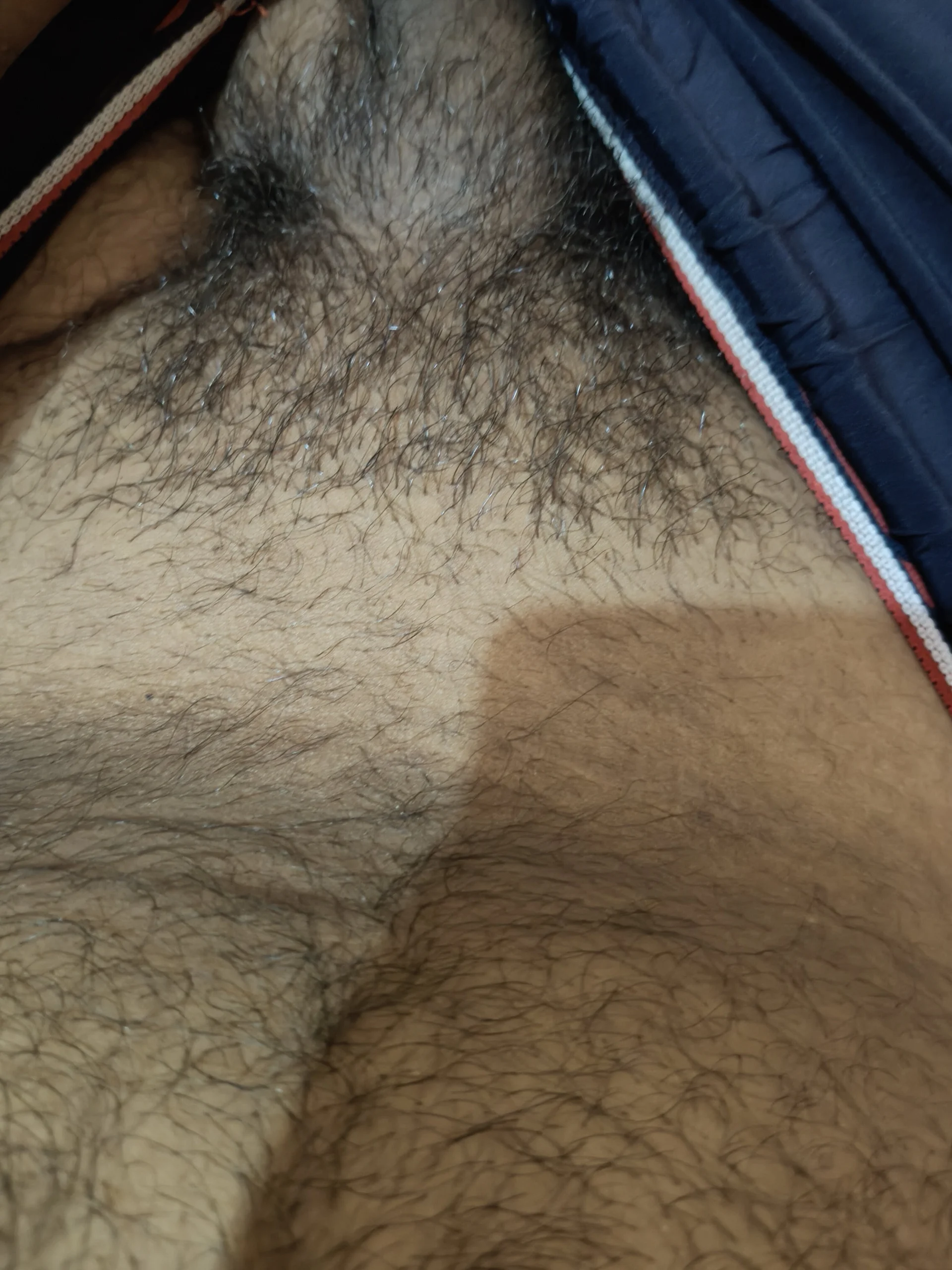 XXX Porn Photo of Nude Hairyboe 4