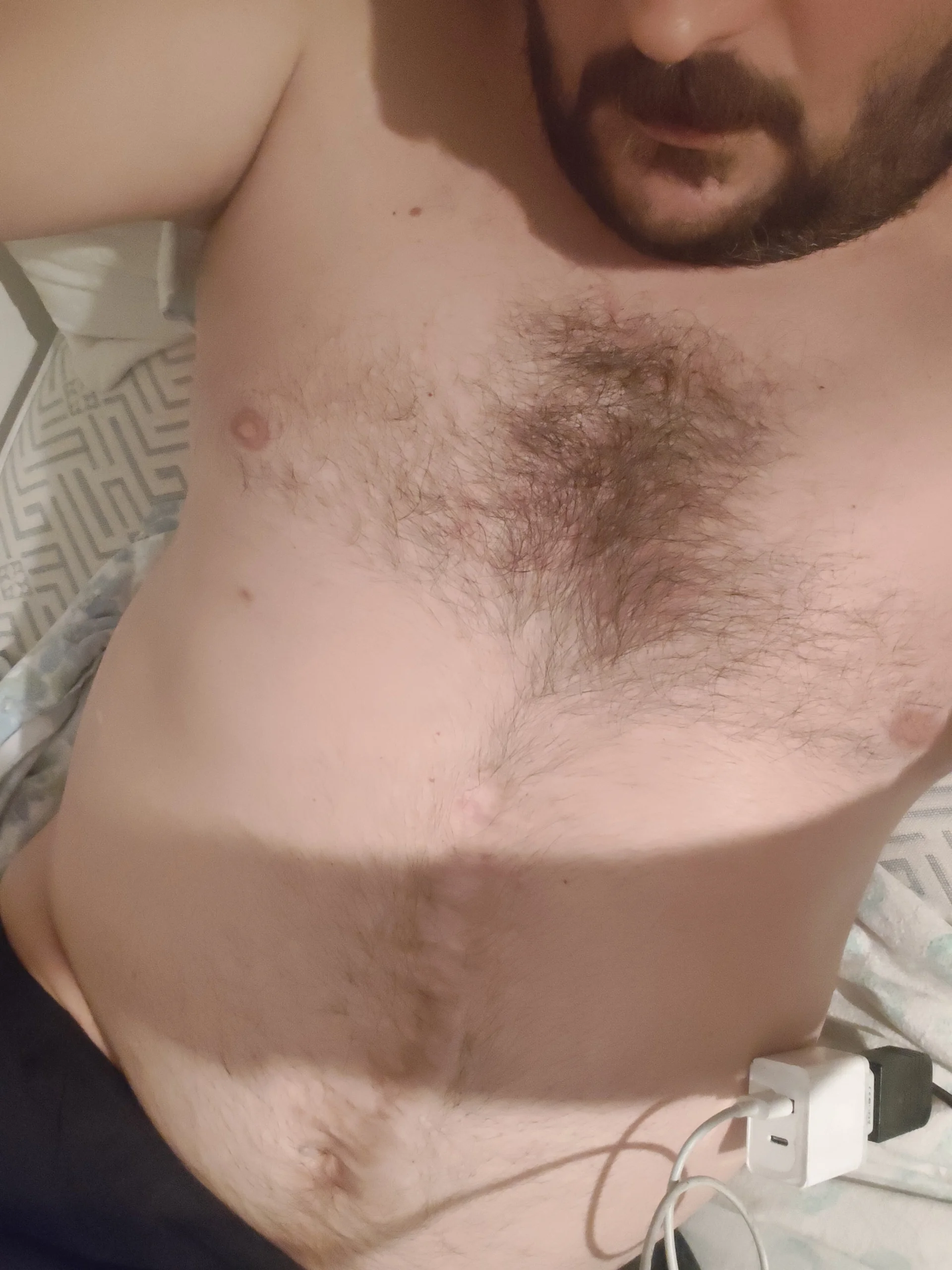 XXX Porn Photo of Nude GluedWhippet 1