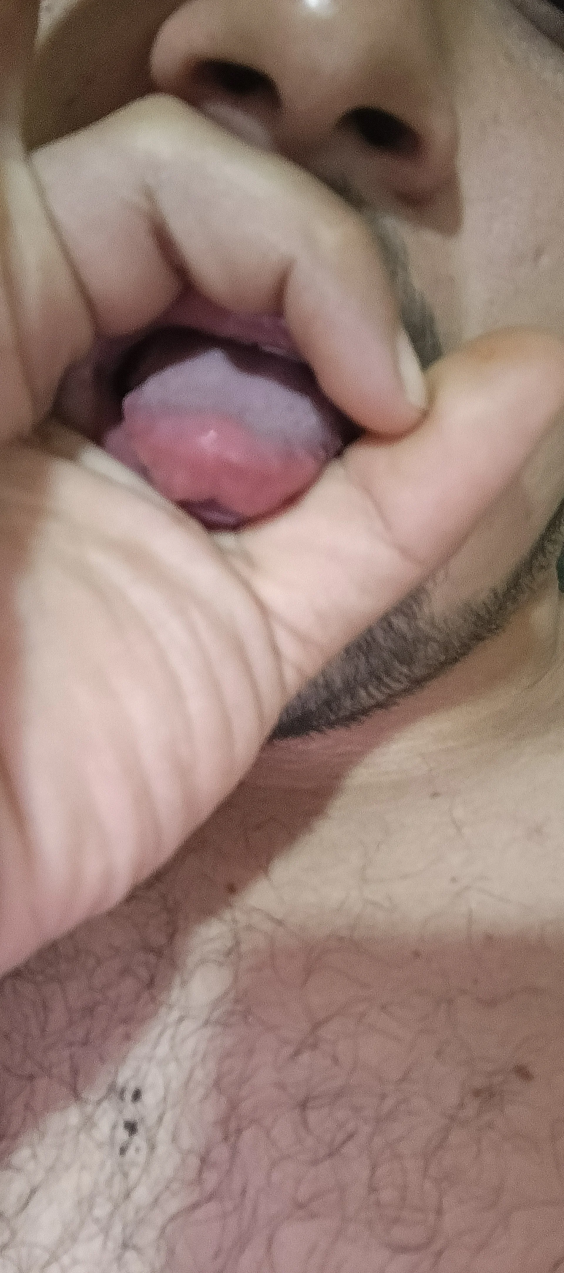 XXX Porn Photo of Nude Depreedador 5