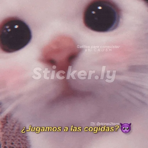 alejopitudo10