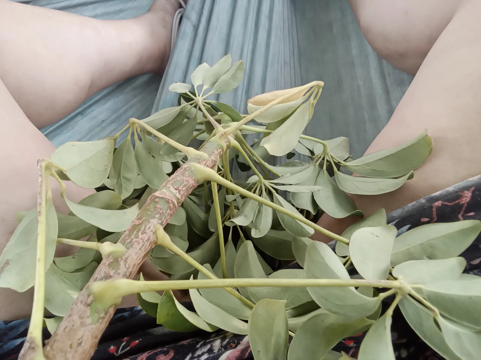 XXX Porn Photo of Nude ProfessaTessa 14