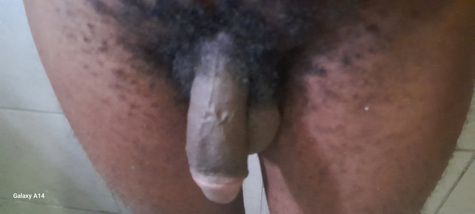 MnandipipiGp
