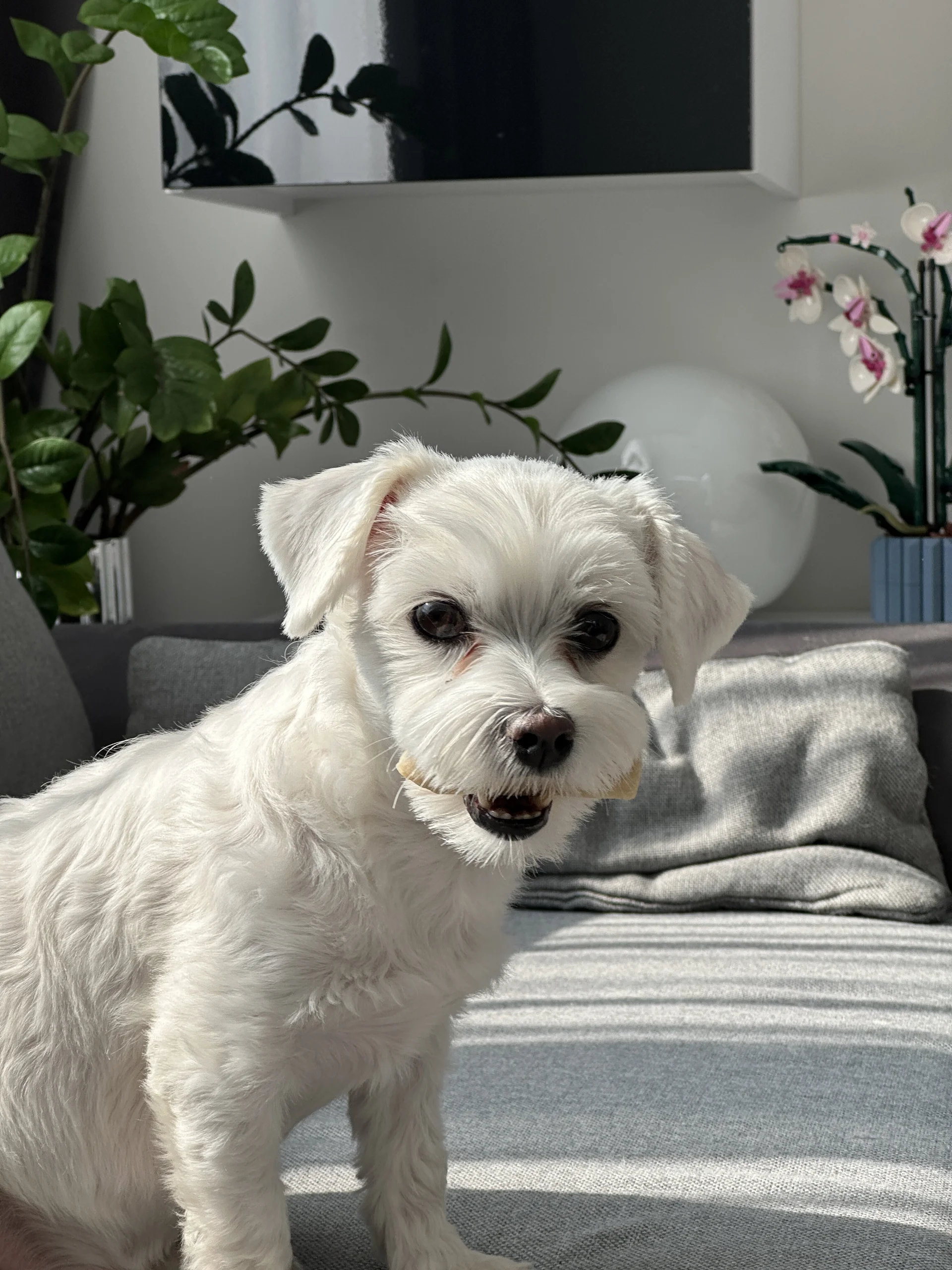 XXX Porn Photo of Nude camkeymonkey 4