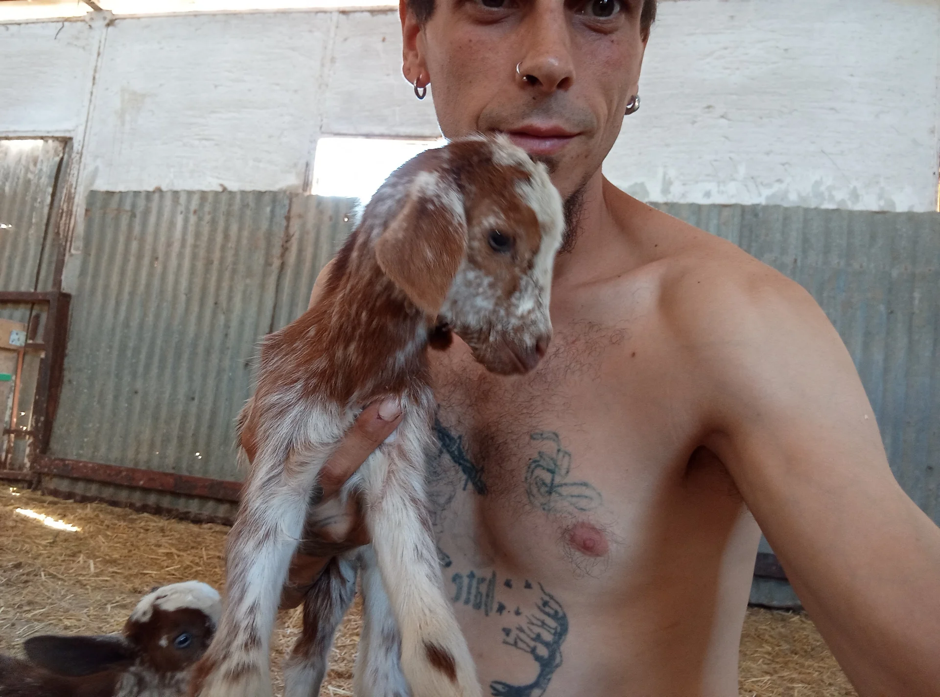 XXX Porn Photo of Nude Rabocop6969 3