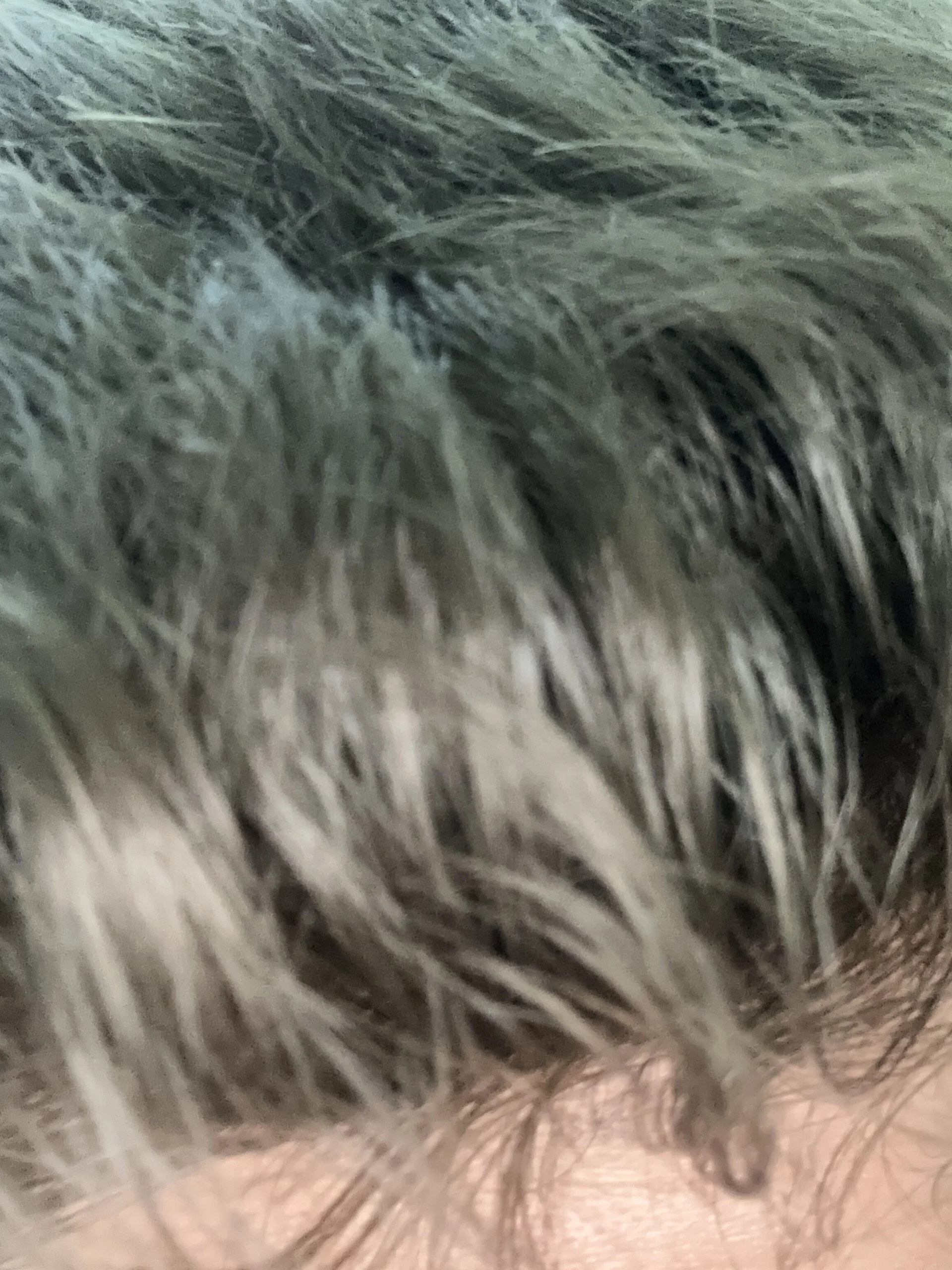 XXX Porn Photo of Nude Fabioxxee 1