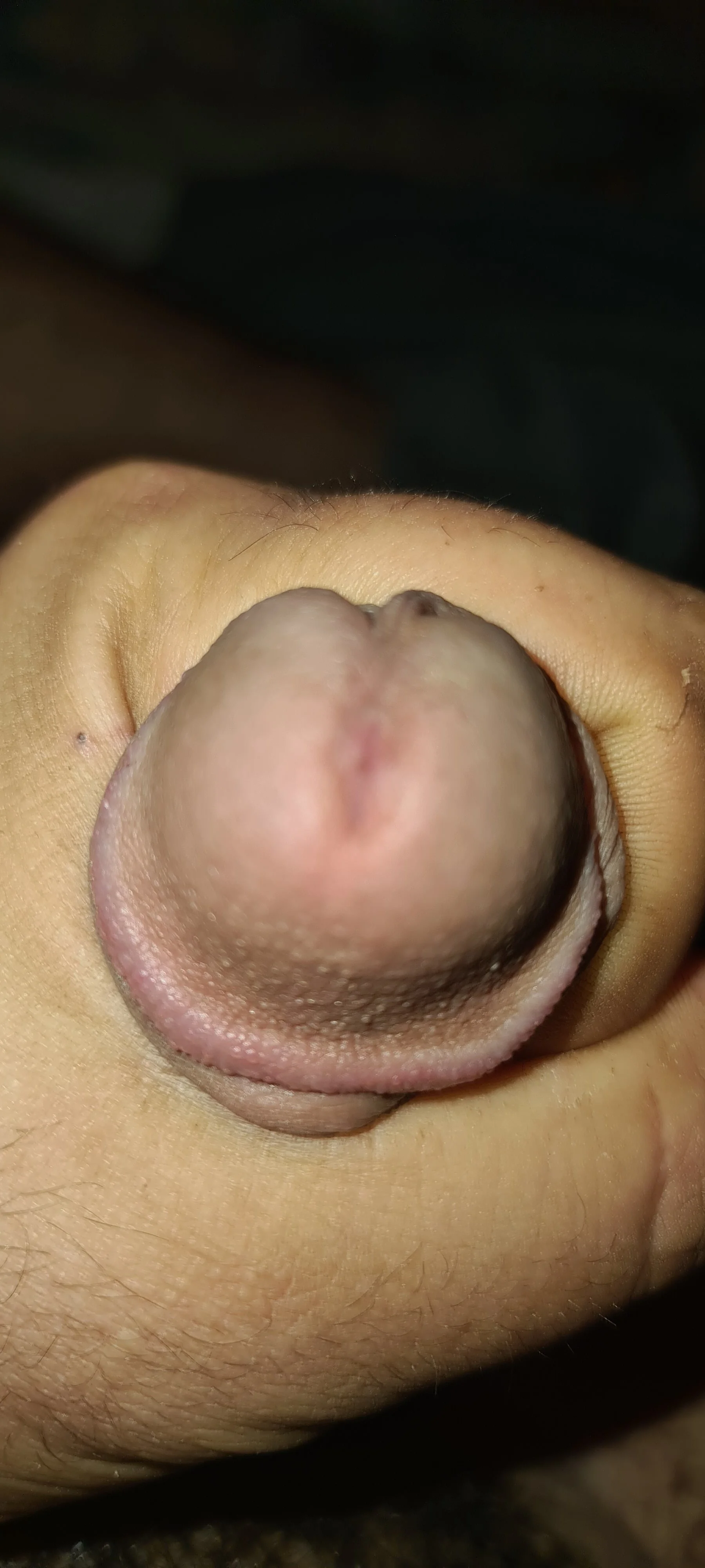 XXX Porn Photo of Nude wolfrot123 11