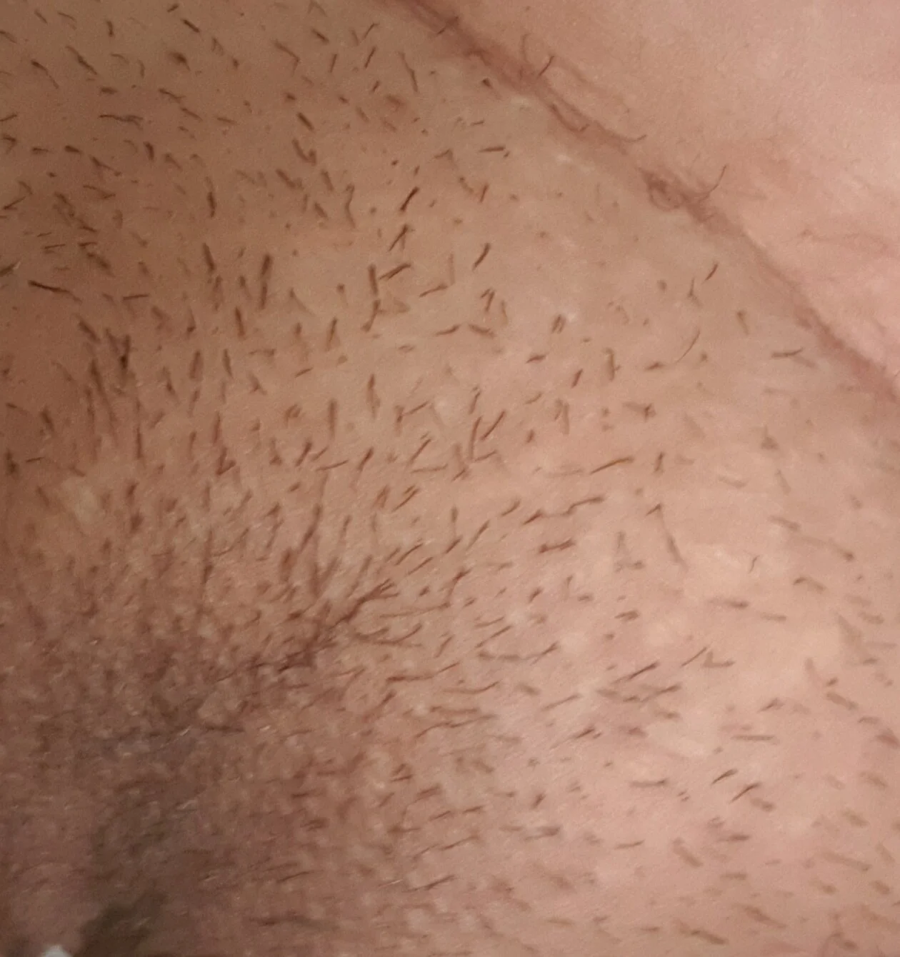 XXX Porn Photo of Nude Verito15xxx 5