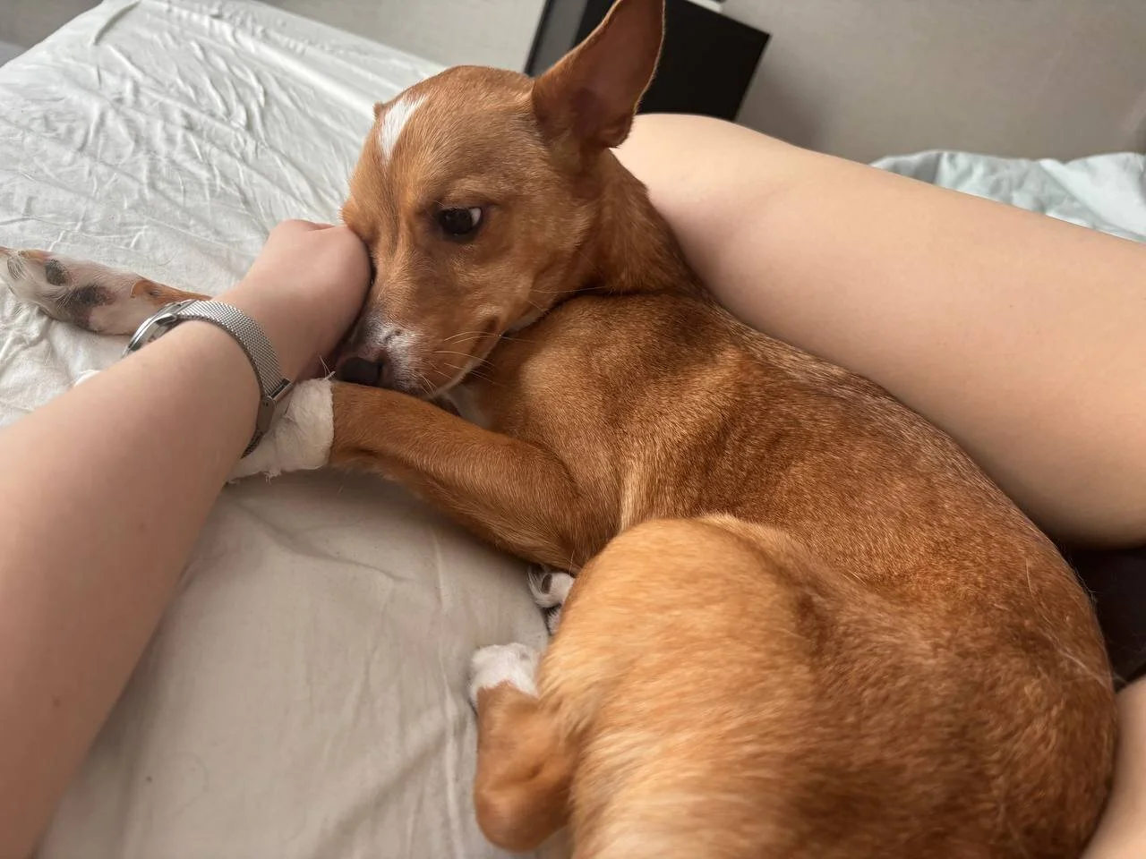 XXX Porn Photo of Nude MercBoone 64