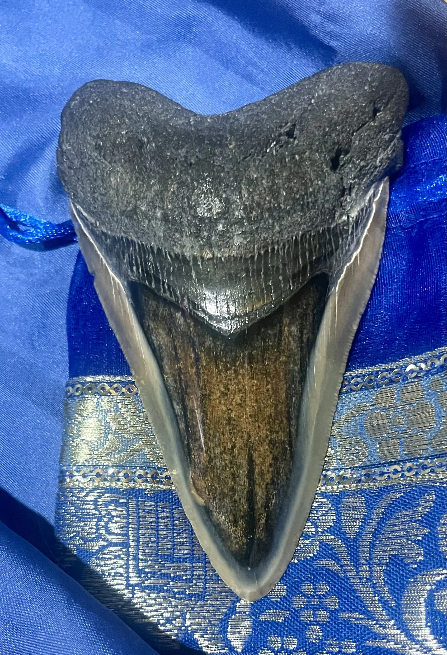XXX Porn Photo of Nude SwordStallionVibes 13