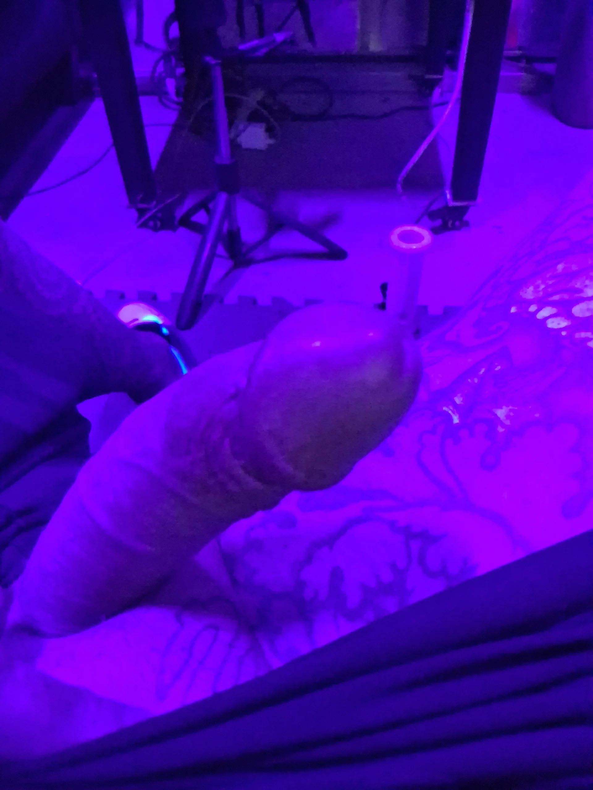 XXX Porn Photo of Nude drednasty 1
