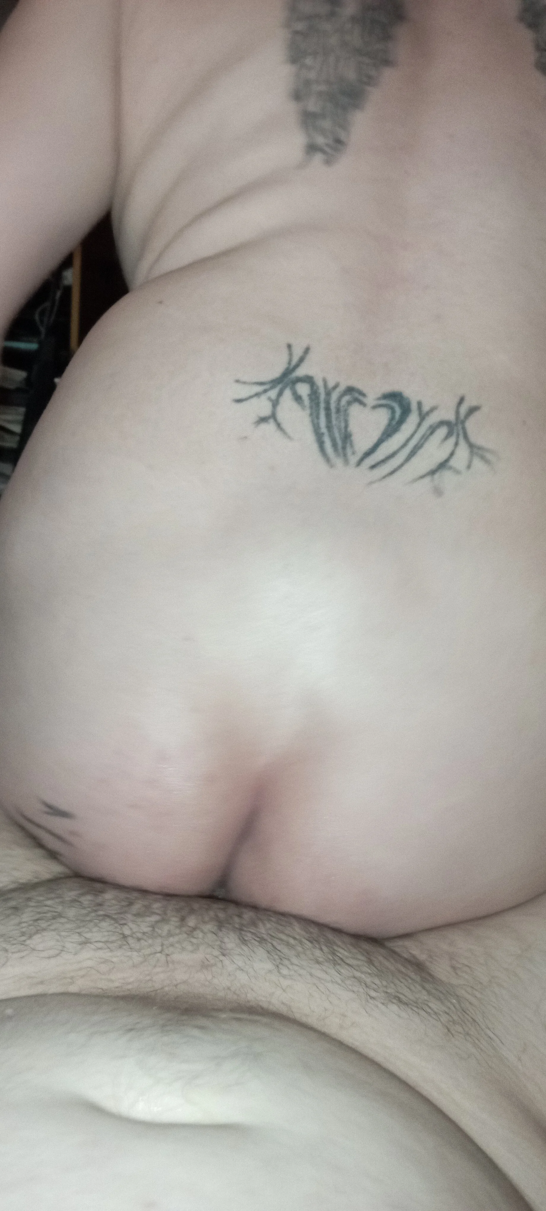 XXX Porn Photo of Nude teddythebeer86 48