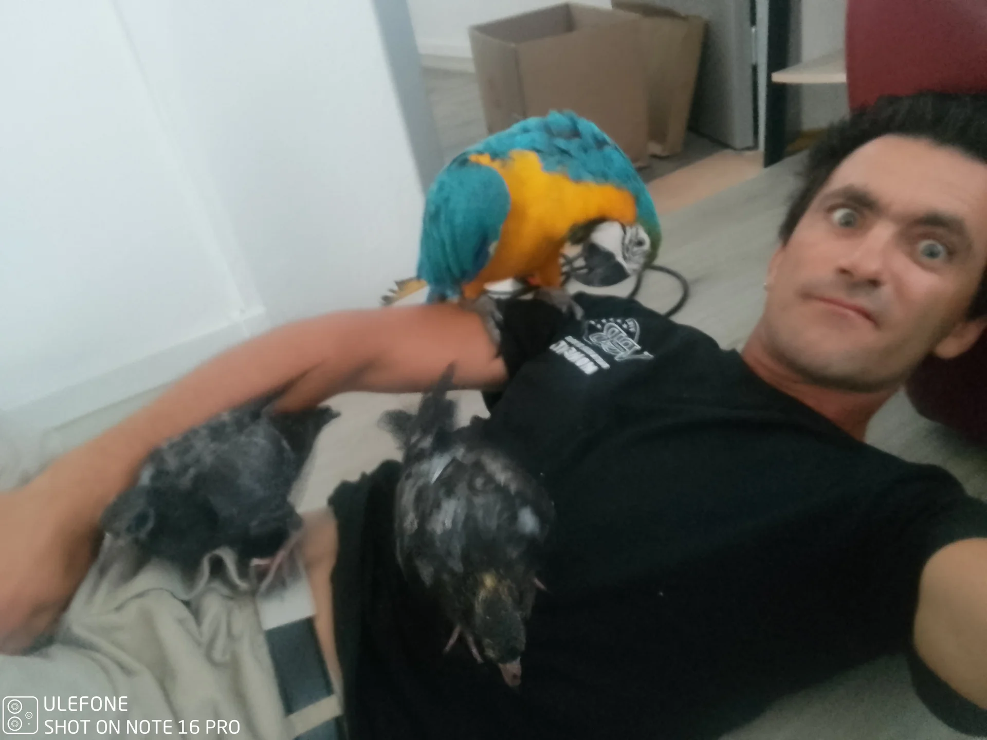 XXX Porn Photo of Nude Pedro_35_Zorro 1