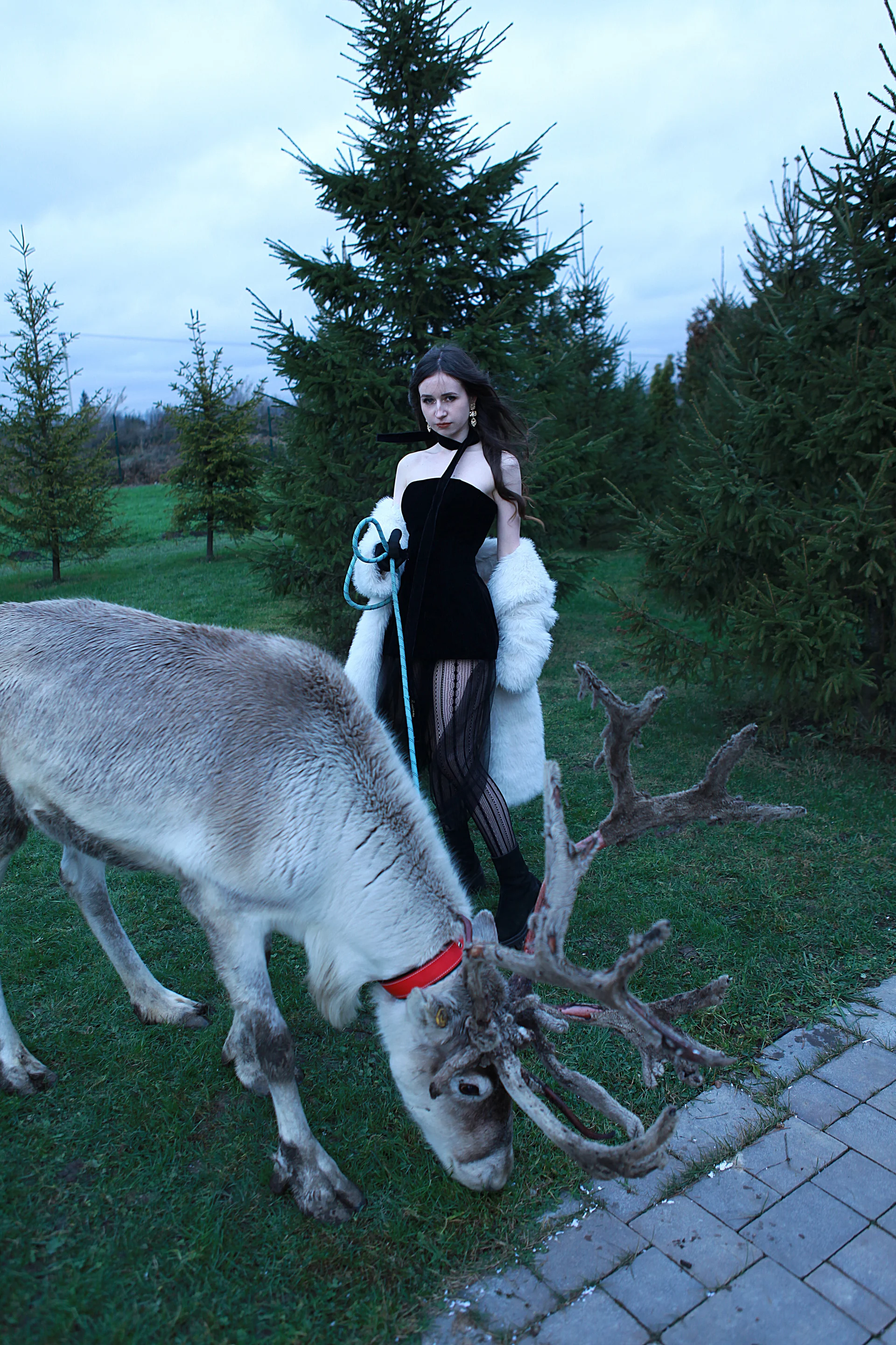 XXX Porn Photo of Nude AliceLiddelle 9