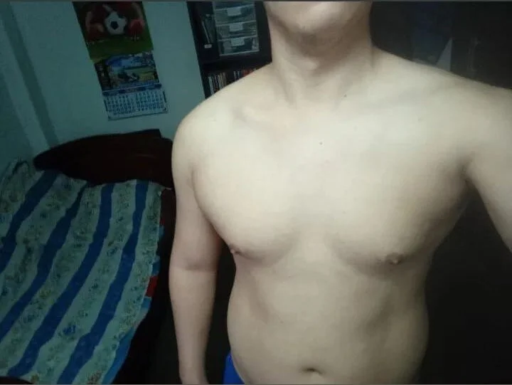 thealfawolf01