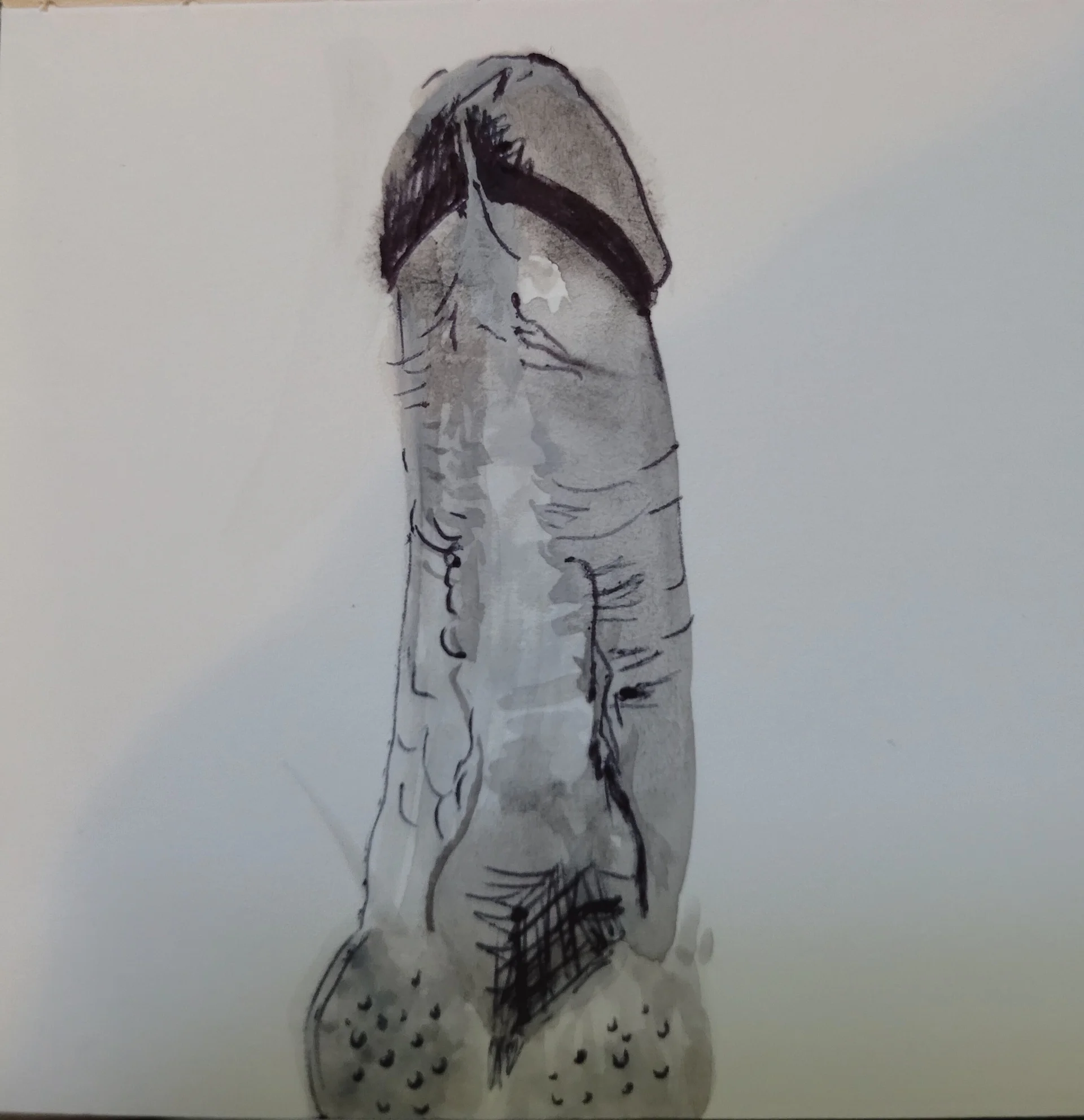 XXX Porn Photo of Nude Lanathevirus 5