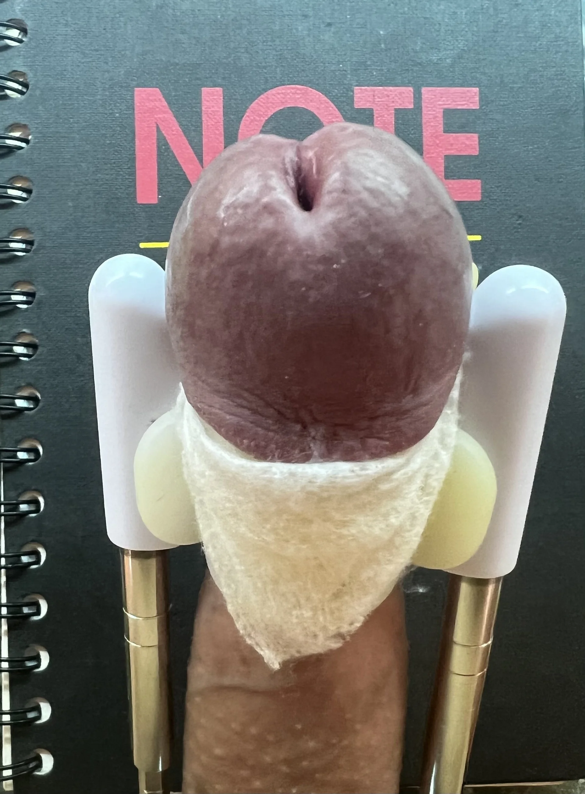 XXX Porn Photo of Nude Archie8338 17