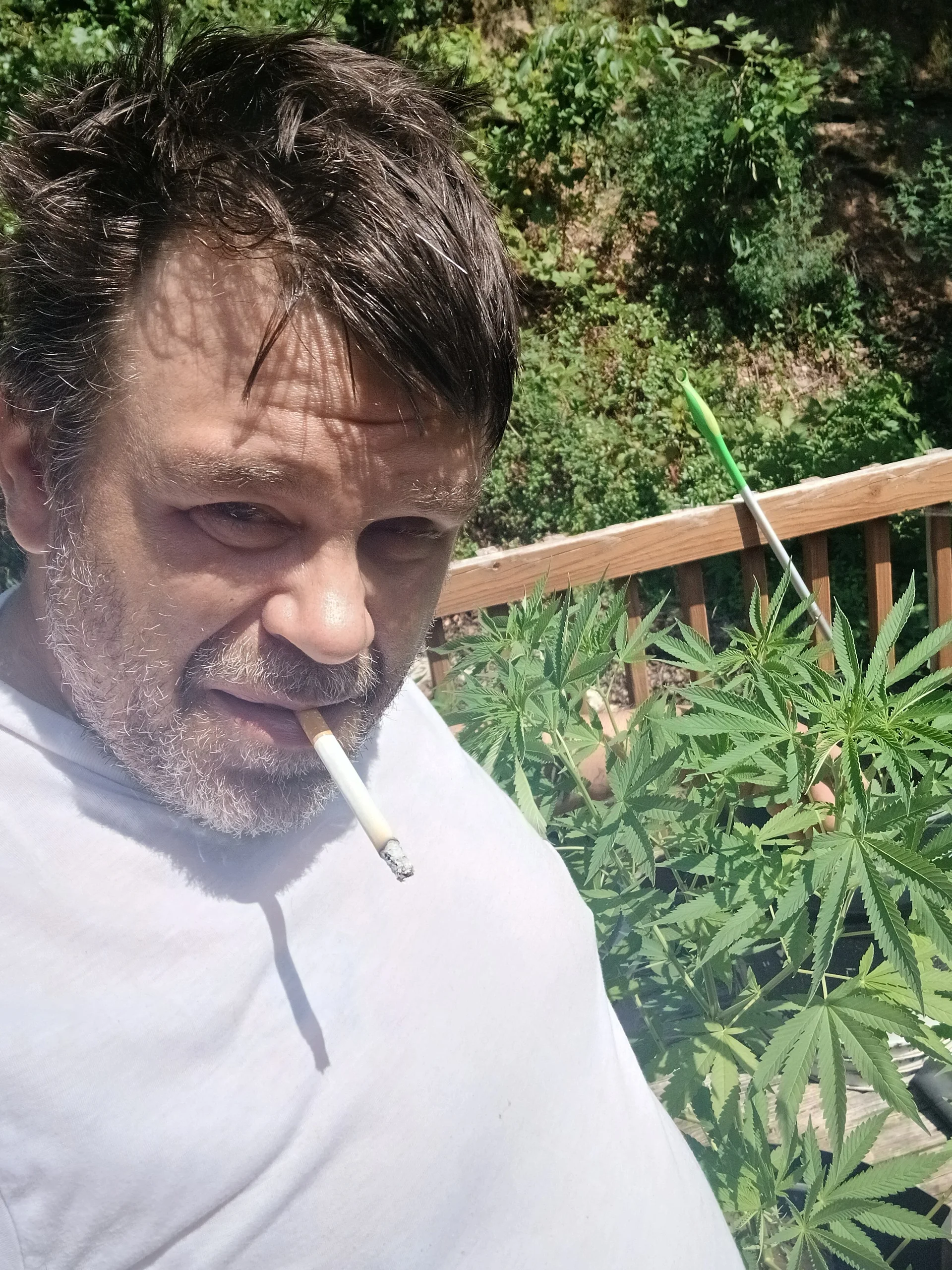 XXX Porn Photo of Nude waynefitz 2