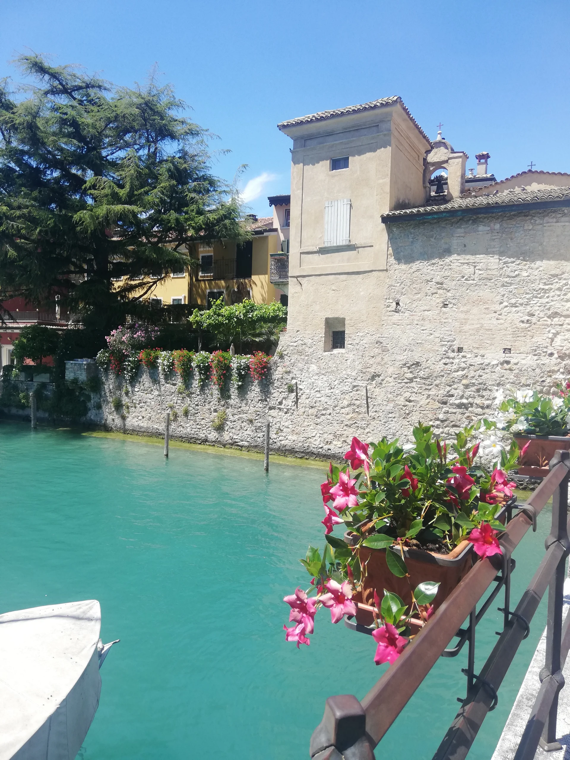 AlbaFerrettiii