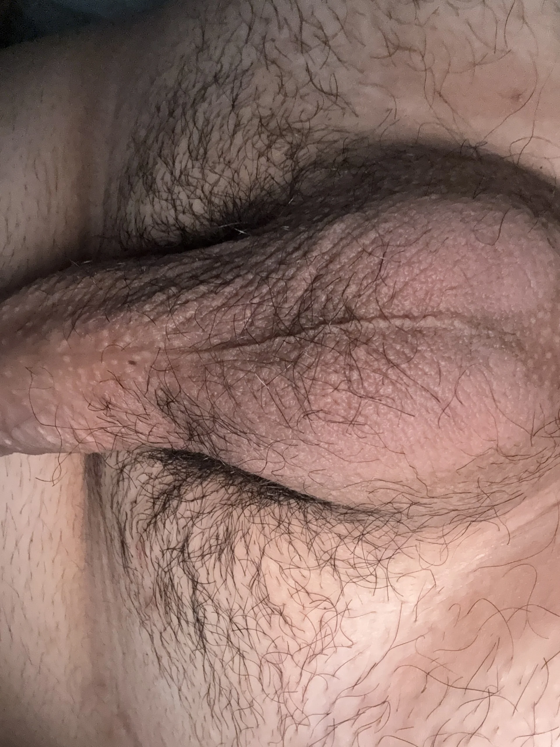 XXX Porn Photo of Nude Danisex2000 4